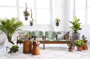 ایده های چیدمان خلاقانه گیاهان آپارتمانی در منزل